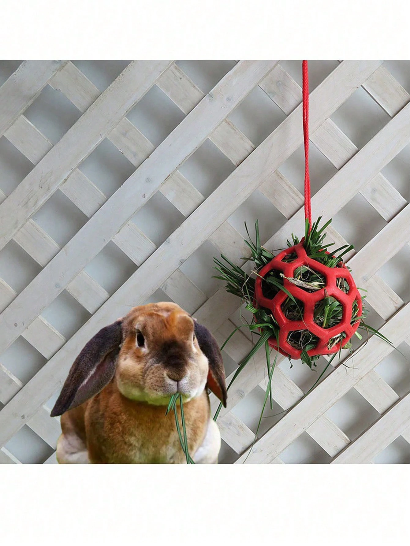 Palla Di Fieno Carota - Giochi Per Cavalli - Equitazione