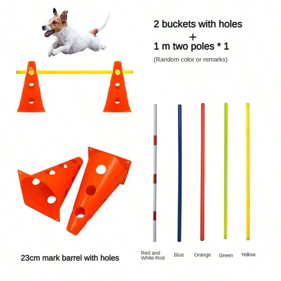 Pet Training & Puzzle Toys