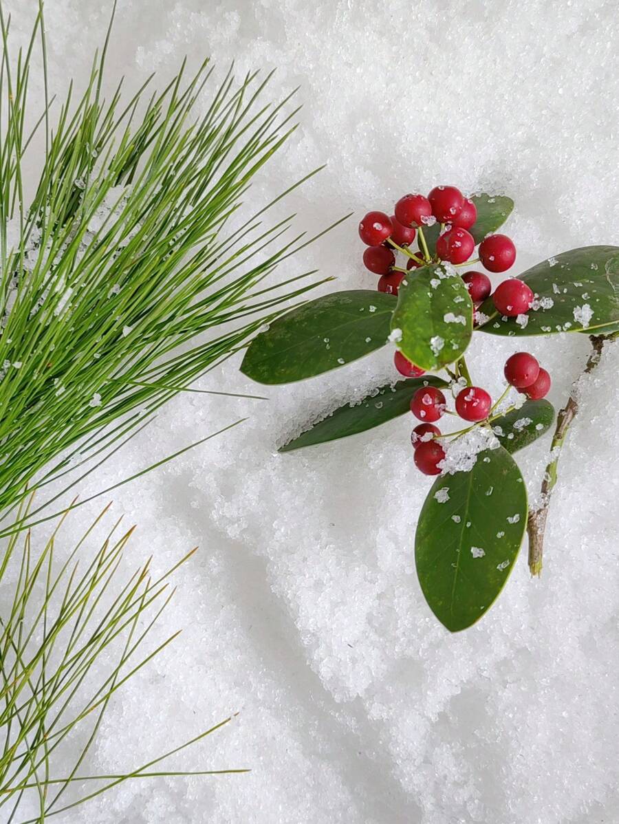 50/100/200g机器造雪，用于影视摄影道具，用于假雪景，用于花卉保湿装饰，用于圣诞装饰，具有逼真效果的逼真雪景。