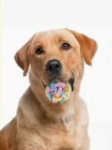 Three-Color Pet Interactive Chew Toy Pet Bell Ball - Interactive Chew Toy For Puppies And Cats - Multicolor - View 4