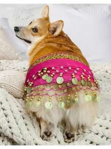 石猫 - 1 件狗狗闪亮肚皮舞服装，配腰带、涤纶尾帘、宠物舞蹈、宠物装扮、狗狗礼物、节日气氛、非常有趣。 - 金色 - 查看 7