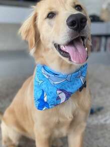 Fabric Pet Bandana With Shark Pattern Pet Kerchiefs,Adjustable Ocean Turtle Theme Pattern Printing Dog Triangle Bibs Scarfs,Suitable For Small To Medium Dogs And Cats - Soft Polyester, Machine Washable - Multicolor - View 1