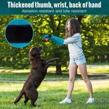 1pc Animal Protection Handling Gloves, Bite & Scratch Resistant Gloves For Training Dogs, Cats, Birds, Snakes, Parrots, Lizards, And Other Wild Animals