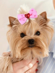 5 件/10 件/20 件宠物猫狗蝴蝶结装饰配件混合颜色和形状，可爱小狗小猫随机图案发带 - 彩色 - 查看 11