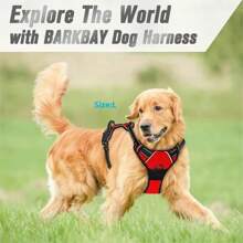 Dog Collars Harness Big Vests Leash Pet Shop Everything For Dogs Leather Puppy Accessories Medium Small Set