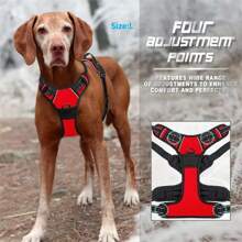 Dog Collars Harness Big Vests Leash Pet Shop Everything For Dogs Leather Puppy Accessories Medium Small Set