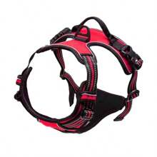 Dog Collars Harness Big Vests Leash Pet Shop Everything For Dogs Leather Puppy Accessories Medium Small Set