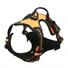 Dog Collars Harness Big Vests Leash Pet Shop Everything For Dogs Leather Puppy Accessories Medium Small Set
