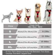 Dog Collars Harness Big Vests Leash Pet Shop Everything For Dogs Leather Puppy Accessories Medium Small Set