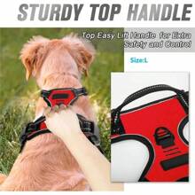 Dog Collars Harness Big Vests Leash Pet Shop Everything For Dogs Leather Puppy Accessories Medium Small Set