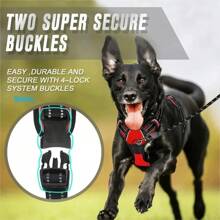 Dog Collars Harness Big Vests Leash Pet Shop Everything For Dogs Leather Puppy Accessories Medium Small Set