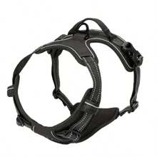 Dog Collars Harness Big Vests Leash Pet Shop Everything For Dogs Leather Puppy Accessories Medium Small Set