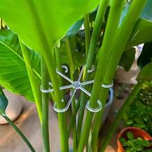 4pcs Plant Fixation Clips Plant Climbing Support Racks Stem Gatherer