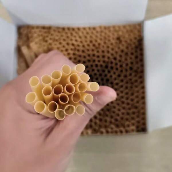 500 pezzi di cannucce in PLA, monouso, adatte per tè al latte, bevande, cannucce dritte, bar, mescolatori per caffè, per la casa, feste e riunioni