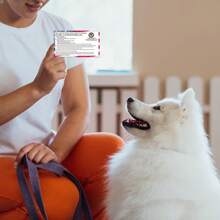 Tarjeta de información legal 2025 - Tarjeta de información de perro de material PVC resistente al agua - Tarjeta que indica sus derechos legales - Usar junto con su certificado