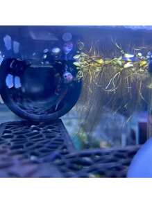 Tub pentru ascunderea peștilor Betta cu ventuză, accesorii pentru acvariu, decorare rezervor de pește, gaură mică, gaură pentru pește, mai sigur pentru creșterea peștilor mici și a creveților, tunel de mușchi de munte pentru pești adormiți, tunel de mușchi de munte pentru pește adormit, accesorii pentru rezervor de apă cu tub ascuns