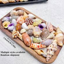 Bolsa de 50g, 100g de arena de conchas y caracoles marinos de colores - Artesanía de conchas y caracoles marinos, paisaje de acuario, decoración del hogar con estilo natural oceánico, material DIY para joyería y perlas de conchas