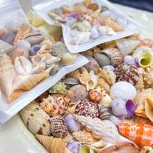 Bolsa de 50g, 100g de arena de conchas y caracoles marinos de colores - Artesanía de conchas y caracoles marinos, paisaje de acuario, decoración del hogar con estilo natural oceánico, material DIY para joyería y perlas de conchas
