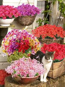 6 Bundles Artificial Flowers For Outdoor,No Fade Fake Plastic Flowers Faux Plants For Decoration Hanging Planters Indoor Outside Garden Porch Window Box Home Wedding Farmhouse,Outdoor Decoration,Outdoor Decor,Garden Decor