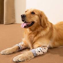 Nuevo traje de protección para rodilla/pierna/codo de perro, ropa de protección de articulaciones, para perros medianos/grandes, ropa de mascota