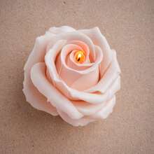 树脂硅胶模具，母亲节情人节花模，适用于肥皂、石膏、蜡烛、装饰品的 DIY 模具 - 白色 - 查看 1