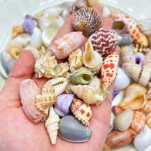 Bolsa de 50g, 100g de arena de conchas y caracoles marinos de colores - Artesanía de conchas y caracoles marinos, paisaje de acuario, decoración del hogar con estilo natural oceánico, material DIY para joyería y perlas de conchas