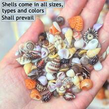 100g/150g/200g 海洋混合贝壳和海螺，天然小巧独特贝壳，适用于鱼缸装饰、珠宝制作、漂流瓶装饰、风铃工艺、多用途小贝壳 - 彩色 - 查看 1