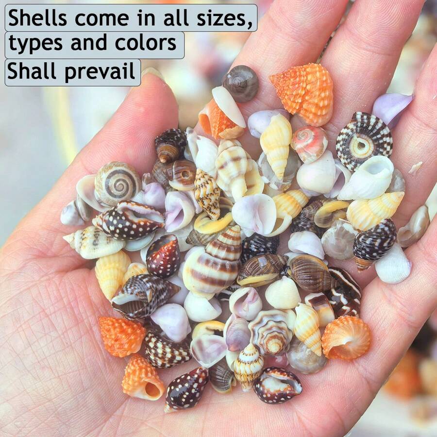 100g/150g/200g 海洋混合贝壳和海螺，天然小巧独特贝壳，适用于鱼缸装饰、珠宝制作、漂流瓶装饰、风铃工艺、多用途小贝壳 - 彩色 - 查看 1