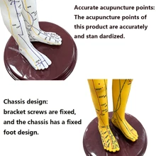 52CM Adult Human Body Acupuncture Model Chinese Medicine Man/Woman Meridians Models Teaching Medical Education Tool - 52cm - View 2