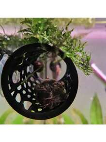 Tub pentru ascunderea peștilor Betta cu ventuză, accesorii pentru acvariu, decorare rezervor de pește, gaură mică, gaură pentru pește, mai sigur pentru creșterea peștilor mici și a creveților, tunel de mușchi de munte pentru pești adormiți, tunel de mușchi de munte pentru pește adormit, accesorii pentru rezervor de apă cu tub ascuns