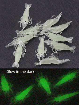 10 pièces crevette bionique lumineuse dans le noir avec design de crochet épineux, appât à forte odeur appât mini, adapté pour la pêche en mer et en eau douce, appât à spirale de crevette artificielle phosphorescente, pêche de nuit pour la basse, la truite, le doré, la perche