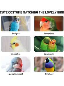 1 Cute Bird Costume, Parrot Cloak, Comfortable Fabric For Budgies, African Grey Parakeets, Cone-Tailed Parrots, Gentoo Parrots, Lovebirds And More!