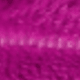 Rosa Fucsia