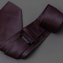 Edi Saraiva Premium Luxury Men's Silk Touch Polyester Tie - View 4