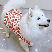 A Pet Medium And Large Dog Strawberry Ditsy Floral Skirt, A Pet Golden Retriever Labrador Cute Skirt - Red - View 5