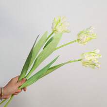 3pcs Parrot Tulip Artificial Flowers, Real Touch, Long Stems, Suitable For Bedroom, Living Room, Dining Room, Office, Cafe Tabletop, Home Decor, Aesthetics, Room Decoration, Wedding Party, DIY Spring Festival New Year Decor, Spring/Summer Decor, Premium Elegant Synthetic Tulips Easter Gifts Birthday Graduation