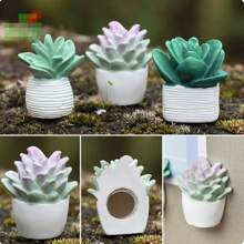 1pc 5pcs8pcs New Creative Plant Potted Cute Resin Succulent Cactus Pushpin/Fridge Magnet Photo Wall Office DIY Potted Pushpin Wall Nail Thumbtack Thumbtack Pushpin Wall Nail Decorative Photo Magnet Refrigerator Magnet Office Whiteboard Accessories Magnet Locker Magnet Photo Frame Style And Color Random Gifts Birthday Graduation