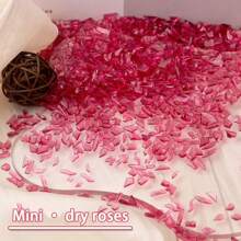 Mini asymmetrische Form Aurora Strass Nail Art Dekoration, kleine Nail Jewelry und Accessoires, super glänzende Nail Zubehör Nägel Nail Charms Nail Gems