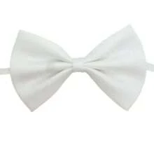 Collier cravate de compagnie ajustable à la mode - Nœud papillon de couleur unie pour animal de compagnie, à simple épaisseur, décoration pour animal de compagnie avec nœud papillon de performance , convient aux petits et grands chiens et chats
