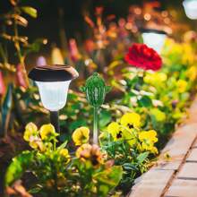 Cactus Water Drip Irrigation Device With Cute Shape Design Portable Potted Plant Waterer Suitable For Home Office School - Green - View 1