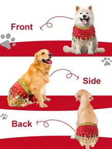 Hunde Bauchtanz Kostüm - Welpen Outfit mit pailletten Hüftkette & hüftschwingender Rock - ideal für Corgi und Welpen Geburtstagsfeiern