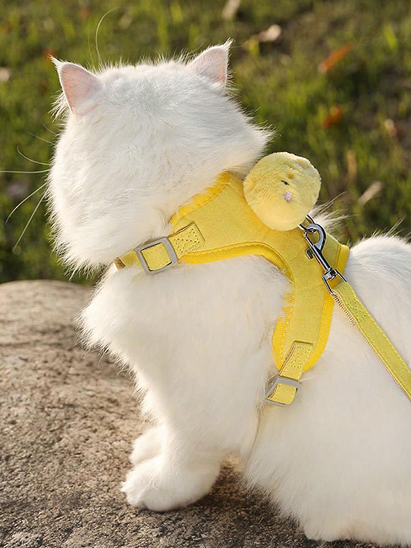 1pc Soft Cat Harness And Leash Set, Easy Control Adjustable Pet Harness ...