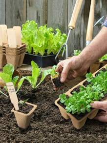 50/60/10/12 Cells Nursery Pots For Seedling, 1/5 Sets Seedling Pots Without Plant Label, Plant Seed Starters Kits For Garden, Waterproof In Early Stage, Dmposes Into Fertilizer Over Time