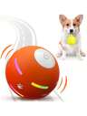 狗球和發射器玩具