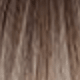 Ombre Light Brown to Blonde
