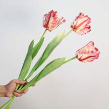 3pcs Parrot Tulip Artificial Flowers, Real Touch, Long Stems, Suitable For Bedroom, Living Room, Dining Room, Office, Cafe Tabletop, Home Decor, Aesthetics, Room Decoration, Wedding Party, DIY Spring Festival New Year Decor, Spring/Summer Decor, Premium Elegant Synthetic Tulips Easter Gifts Birthday Graduation