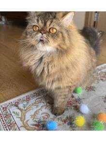 1.5 英寸超大猫咪最喜欢的追逐闪光球玩具闪光绒球各种颜色闪光球猫咪最喜欢的玩具球金属丝绒球闪光。（颜色随机）