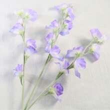 3PCS Artificial Flower Simulation, Real Touch Artificial Sweet Pea Flowers -Artificial Hellebores Flowers Bouquet, Wedding And Engagement Plastic Floral Arrangement, Home Decor Faux Plants, Premium Oxidation Resistant, Long-Lasting, And Delicately Crafted For Wedding Arrangements, Bridal Bouquets, Garden, Yard, And Home Decor - Best Gift For Valentine's Day, Easter, Mother's Day, Father's Day Gifts Birthday Graduation Back To School Room Decor School Supplies - Multicolor - View 12