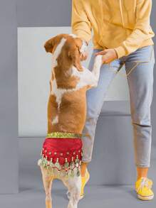 Hunde Bauchtanz Kostüm - Welpen Outfit mit pailletten Hüftkette & hüftschwingender Rock - ideal für Corgi und Welpen Geburtstagsfeiern