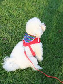 1pc Shiny Heart-Shaped Pet Harness With Pocket, Breathable & Comfortable Material, Sturdy Buckle, Suitable For Small To Medium Cats And Dogs, With Leash
